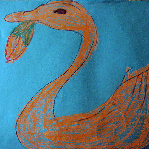 Portfolio1