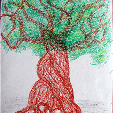 Portfolio1